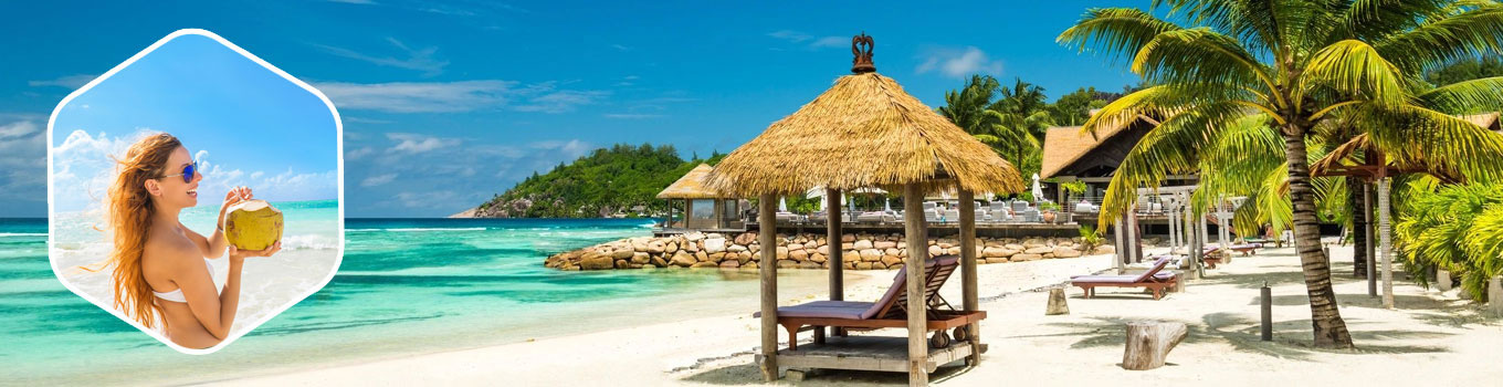 5-Day Goa Itinerary: Beaches, Forts, and Spice Plantations