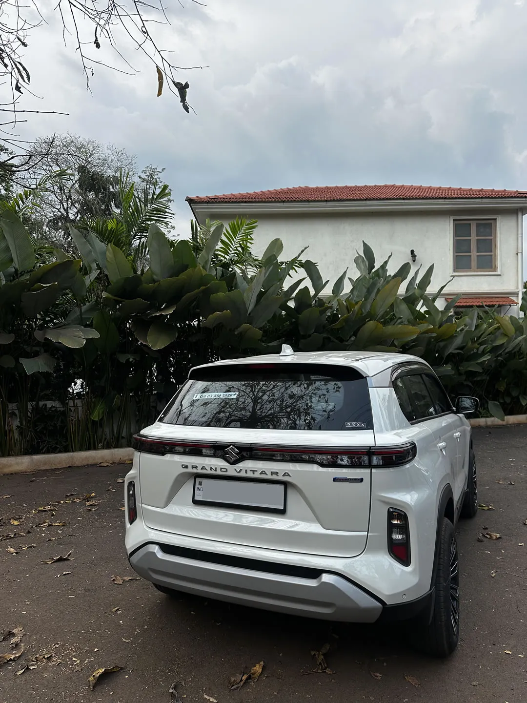 Rear view of the Maruti Grand Vitara, a comfortable car for hire in Goa.